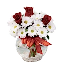 VAZODA 3 GÜL VE PAPATYALAR