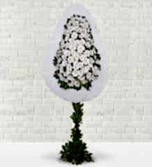 Beyaz Gerbera Sepeti