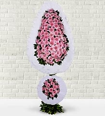 Pembe Düğün Çiçeği