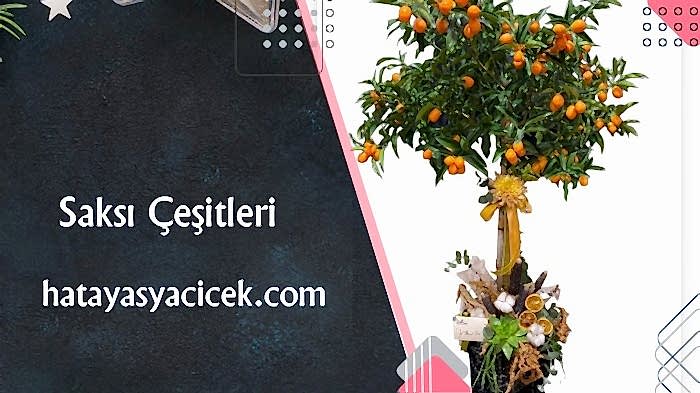 Öneçıkan Ürün