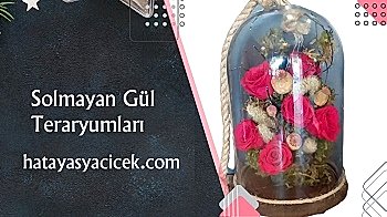 Öneçıkan Ürün